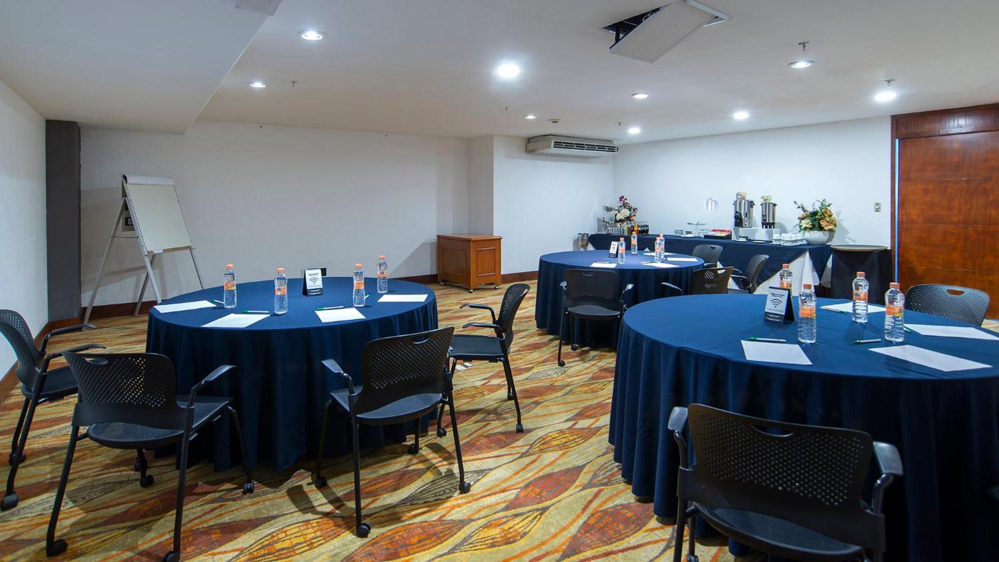 Zona Diamante, An Ihg Querétaro